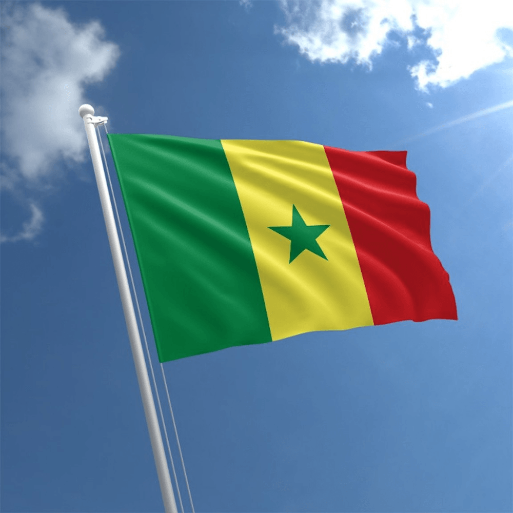 Senegal Flag Display-Globe Flags