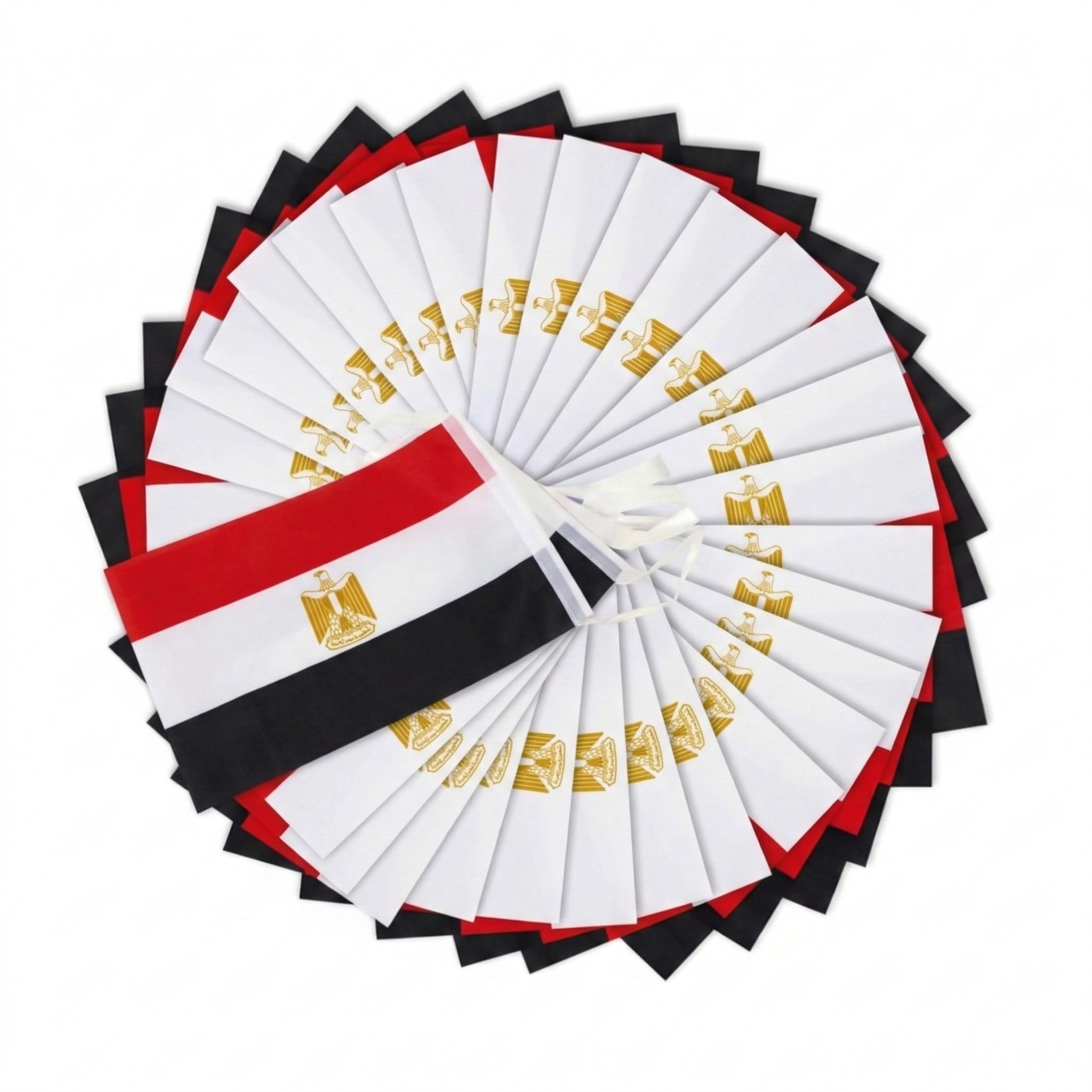 Official FIFA 2026 Egypt Flag Banner banner in use setting