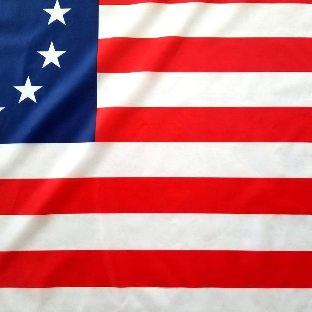 Historical Betsy Ross Flag displayed indoors on wall mount