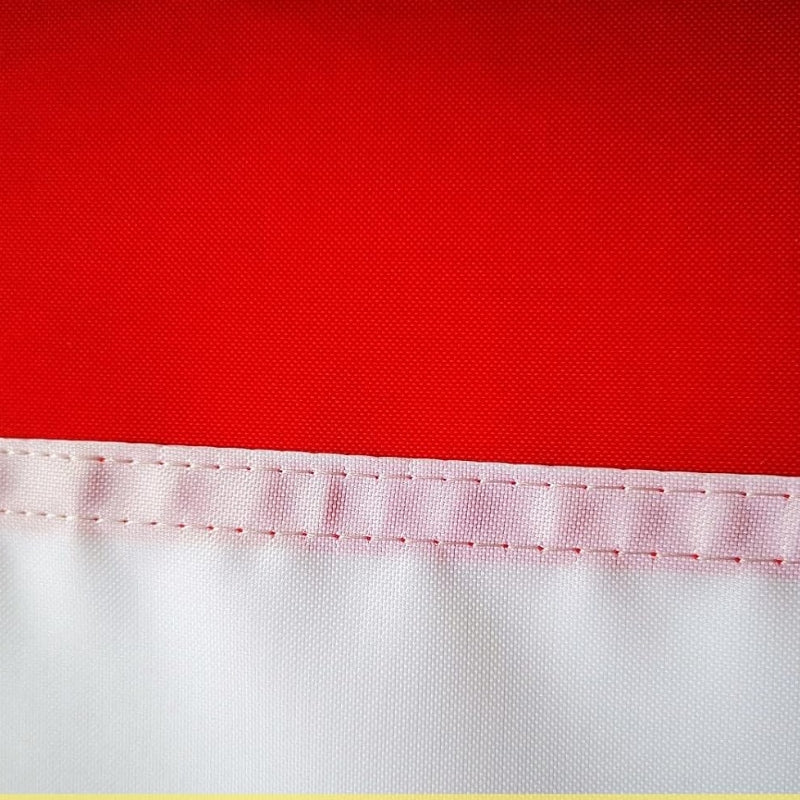 Texas State Outdoor Display Flag-Globe Flags