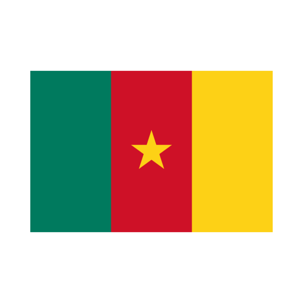 Cameroon National Polyester Flag – Fly Your Pride Anywhere-Globe Flags