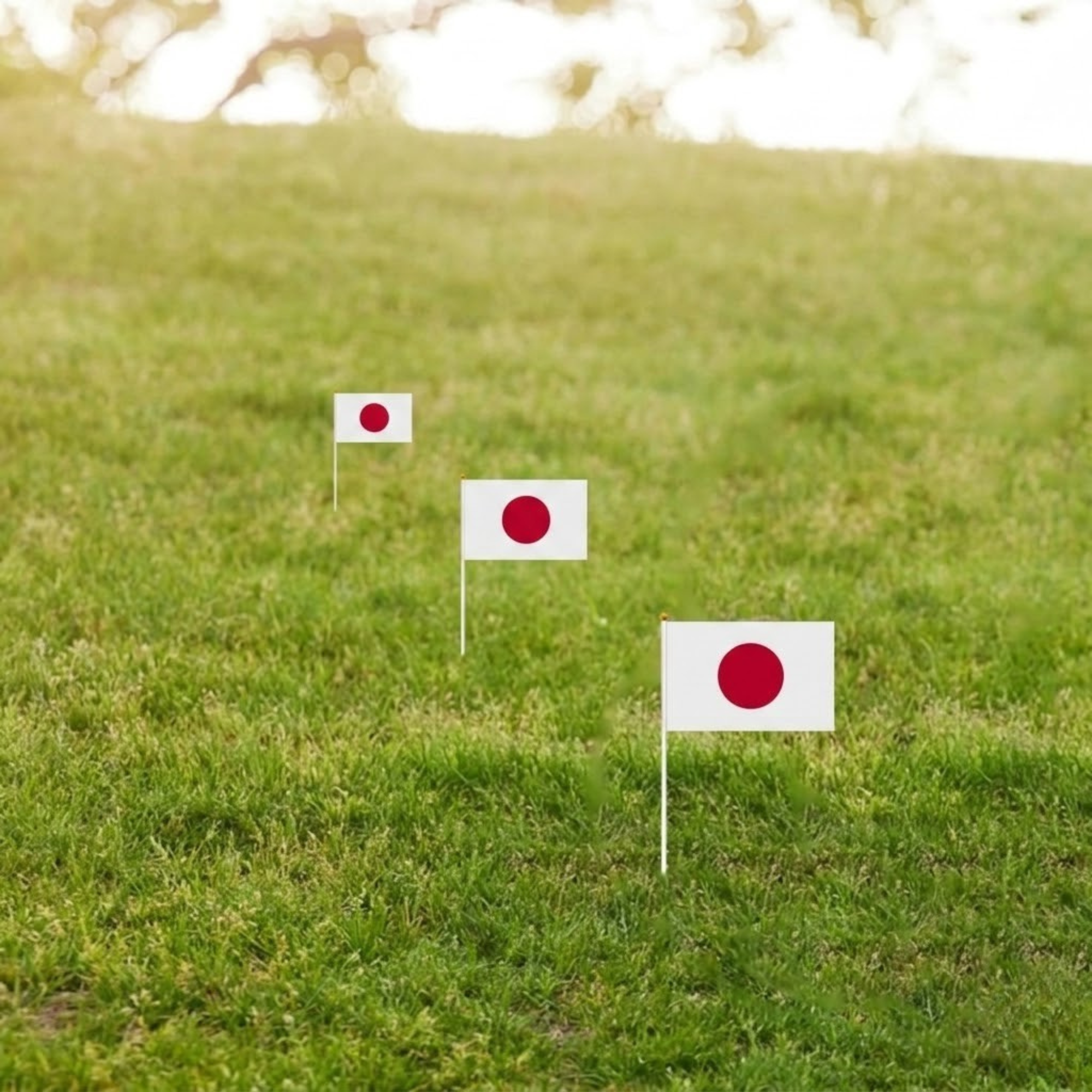 10 Pieces Of Official FIFA 2026 Japan Mini Flags