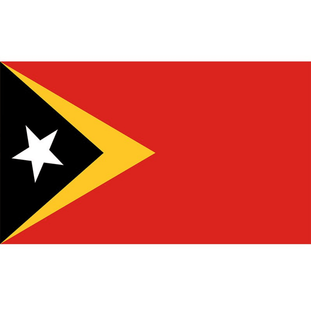 East Timor Country Flag - front view on white background