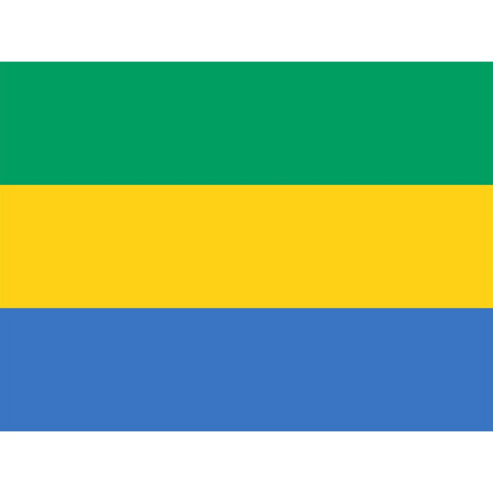 Gabon Country National Flag - front view on white background