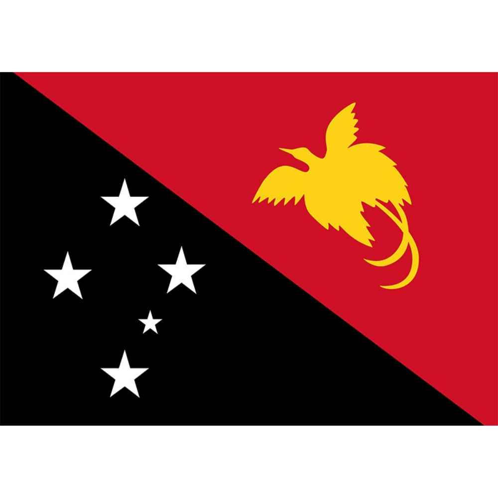 Papua New Guinean Flag - front view on white background
