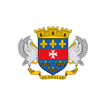 Saint Barthelemy Flag-Globe Flags