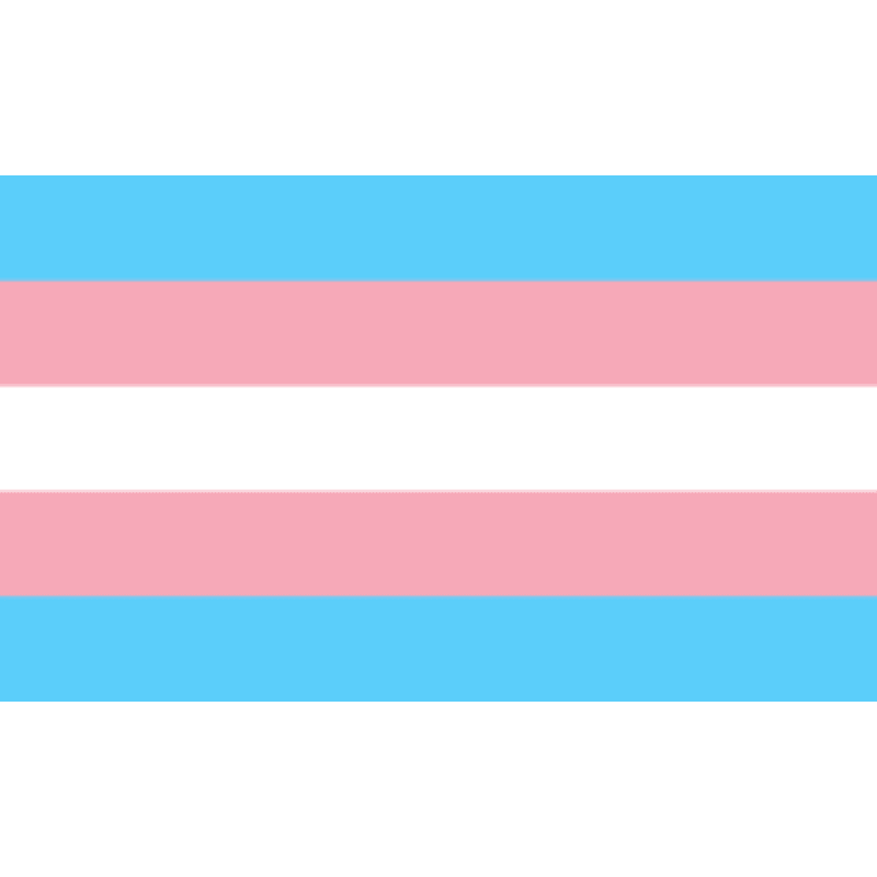 Transgender Pride Flag Banner-Globe Flags