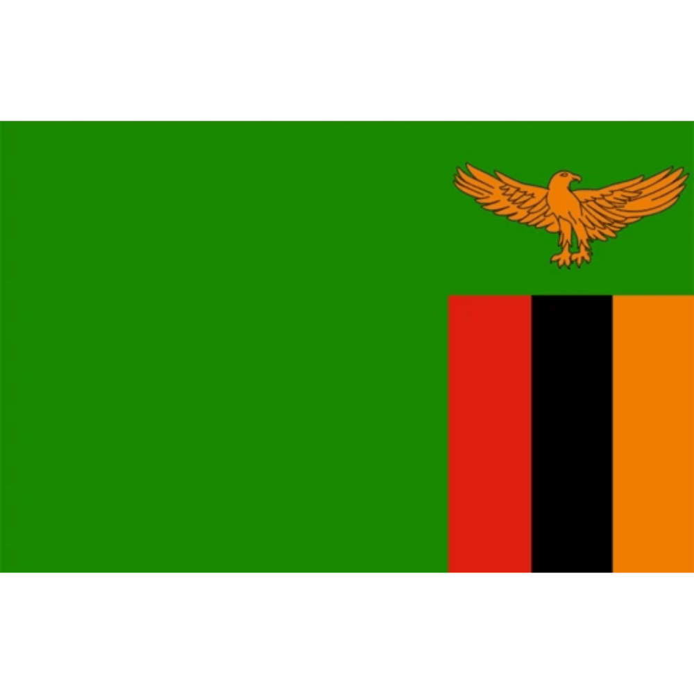Mozambique Display Flag - front view on white background