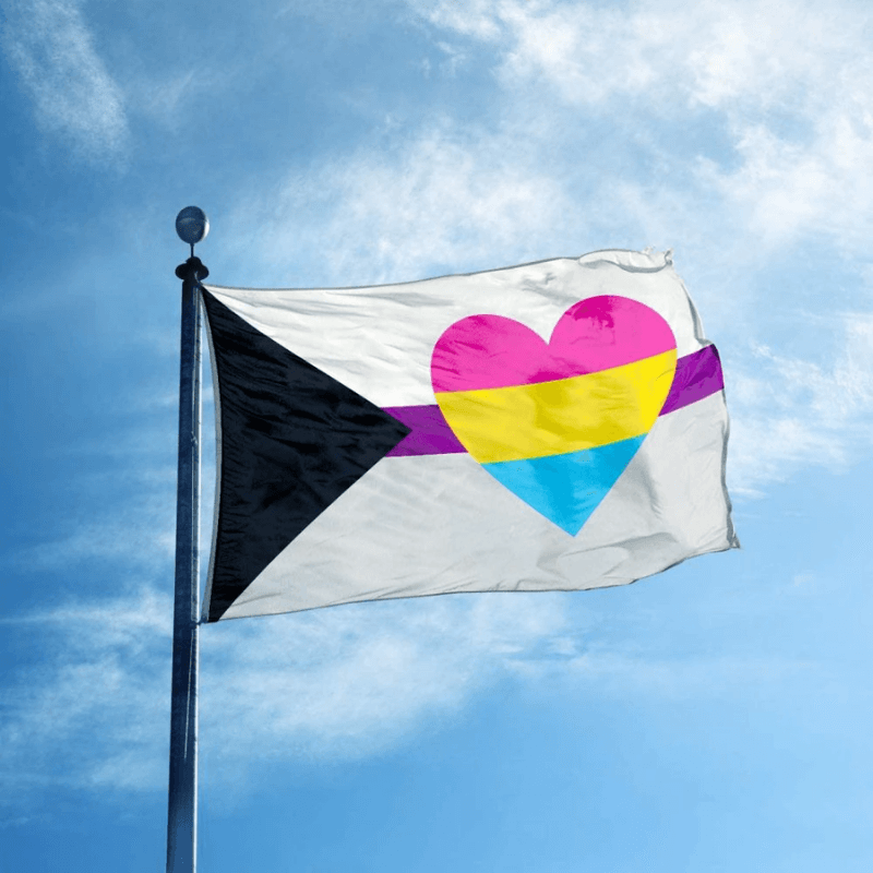 Demisexual Panromantic Heart Flag-Globe Flags