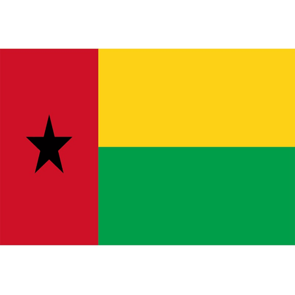Guinea Bissau Country Flag - front view on white background