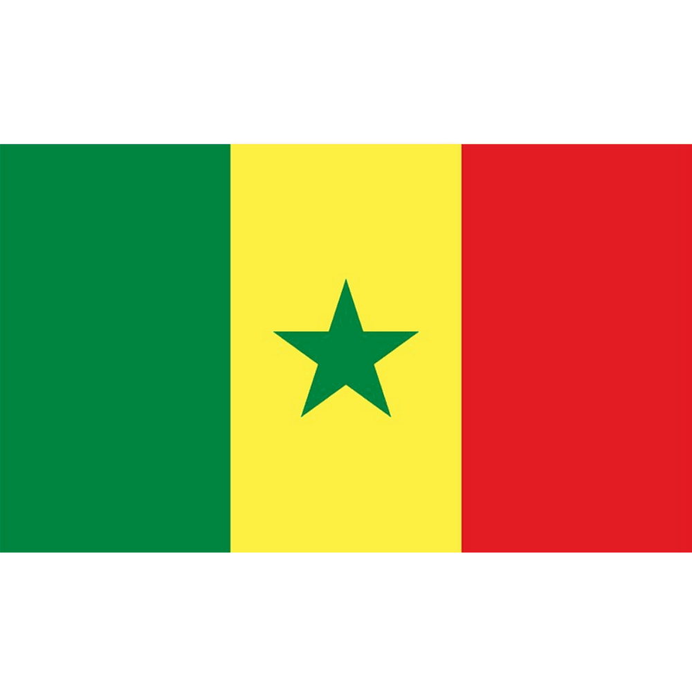 Senegal Flag Display-Globe Flags