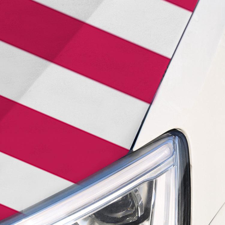 USA Flag Car Hood-Globe Flags