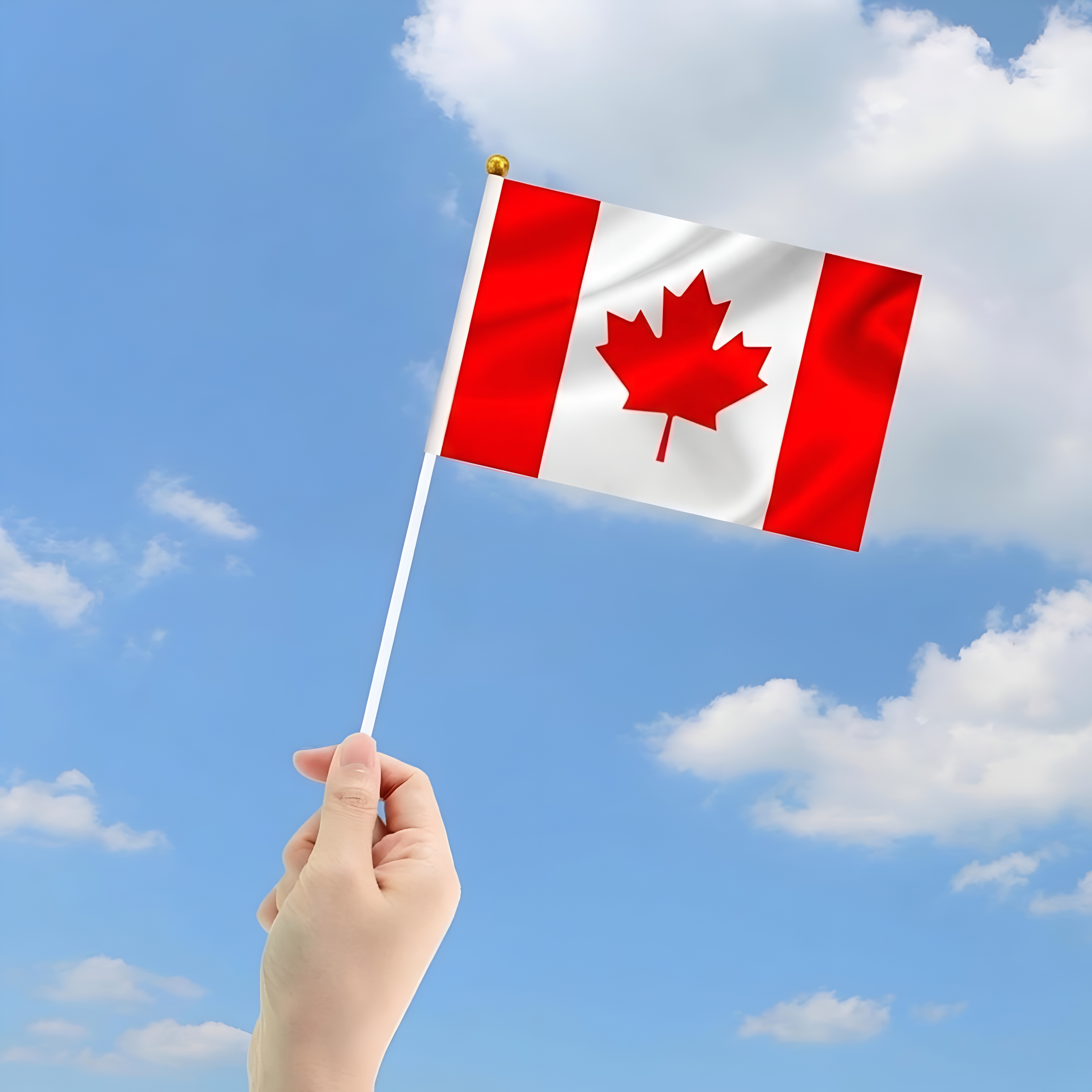 10 Pieces Of Official FIFA 2026 Canada Mini Flags