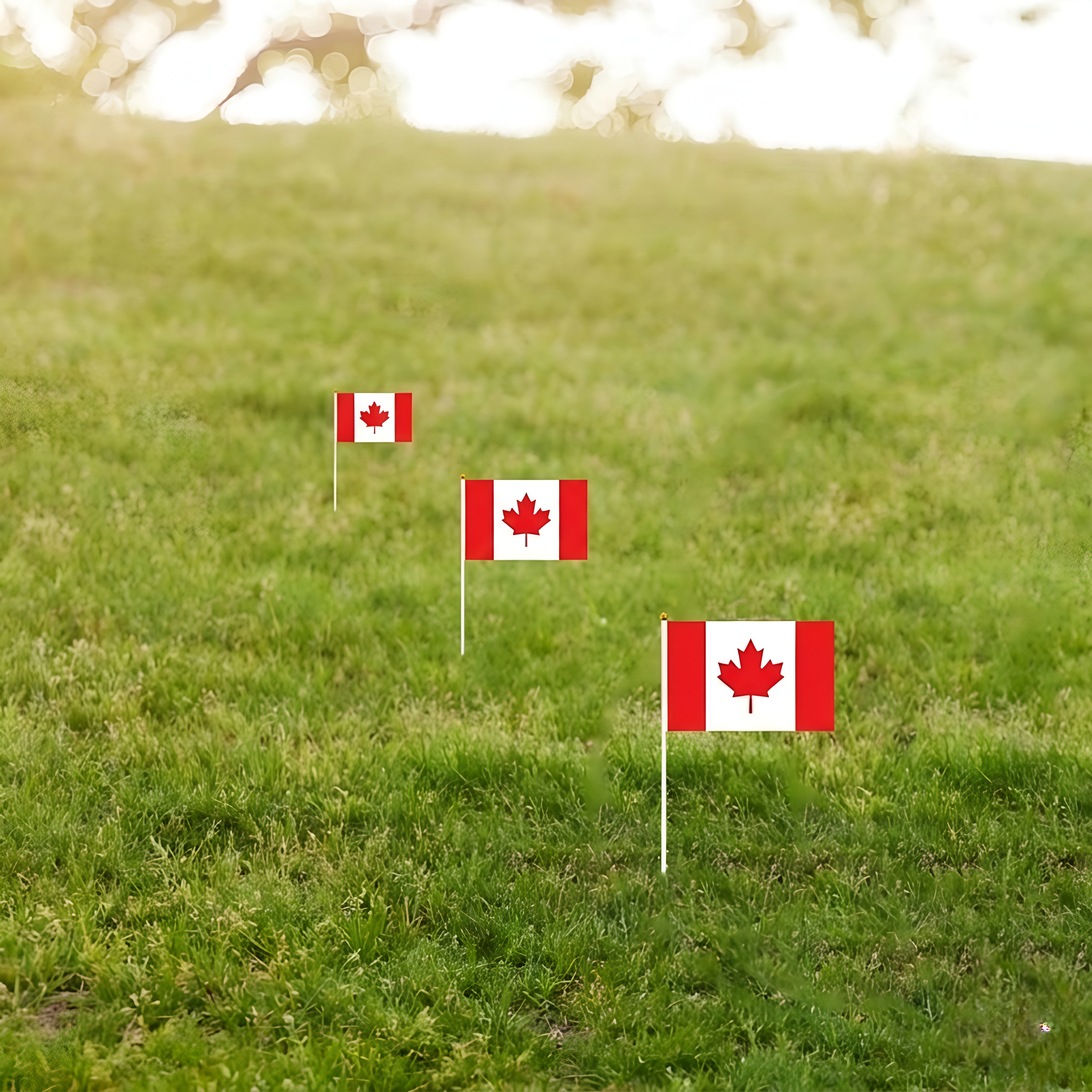10 Pieces Of Official FIFA 2026 Canada Mini Flags