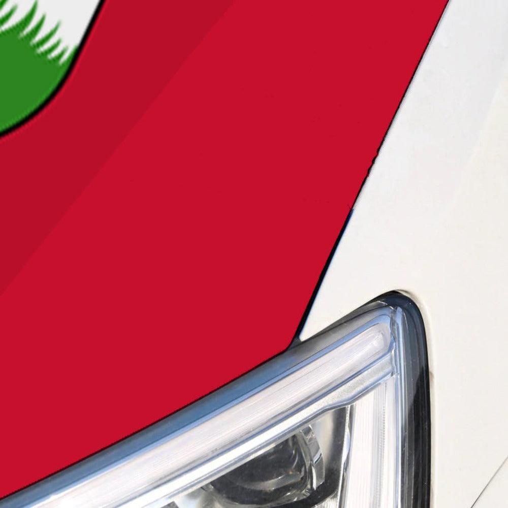 Bermuda Car Hood Cover Flag Polyester Vehicle Wrap For Outdoor Display-Globe Flags