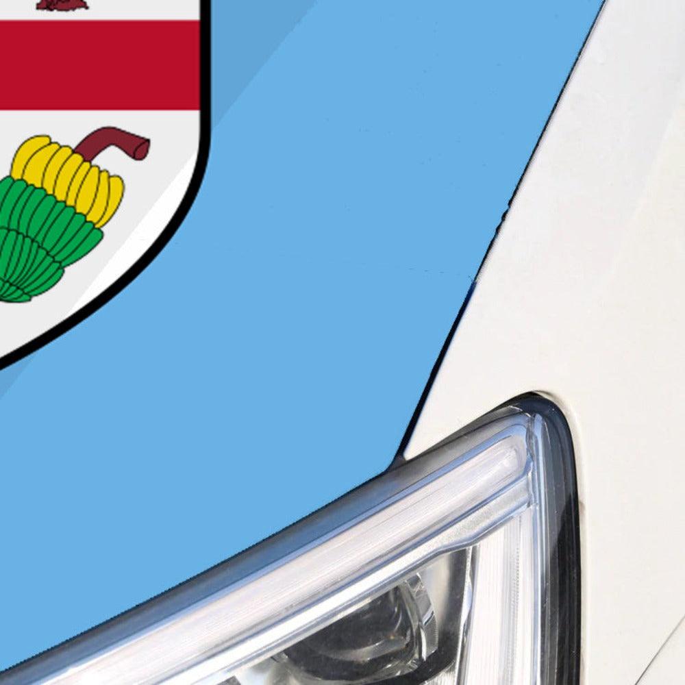 Fiji Car Hood Flag-Globe Flags