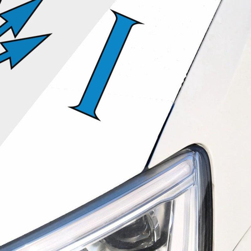 Virgin Islands Car Cover-Globe Flags