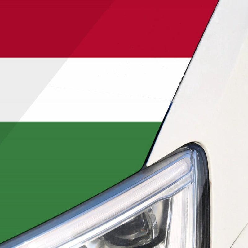 Suriname Car Hood Cover Flag-Globe Flags