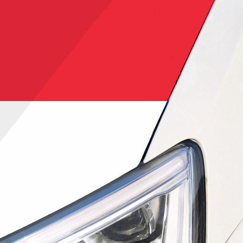 Singapore Car Hood Cover Flag-Globe Flags