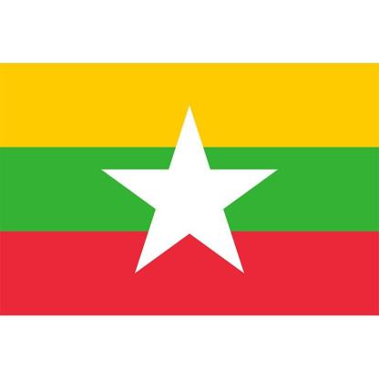 Myanmar National Country Flag-Globe Flags