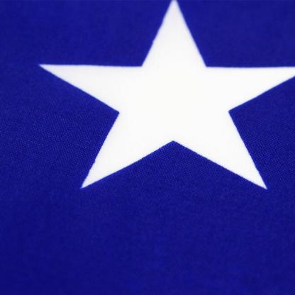 United States of America Flag-Globe Flags
