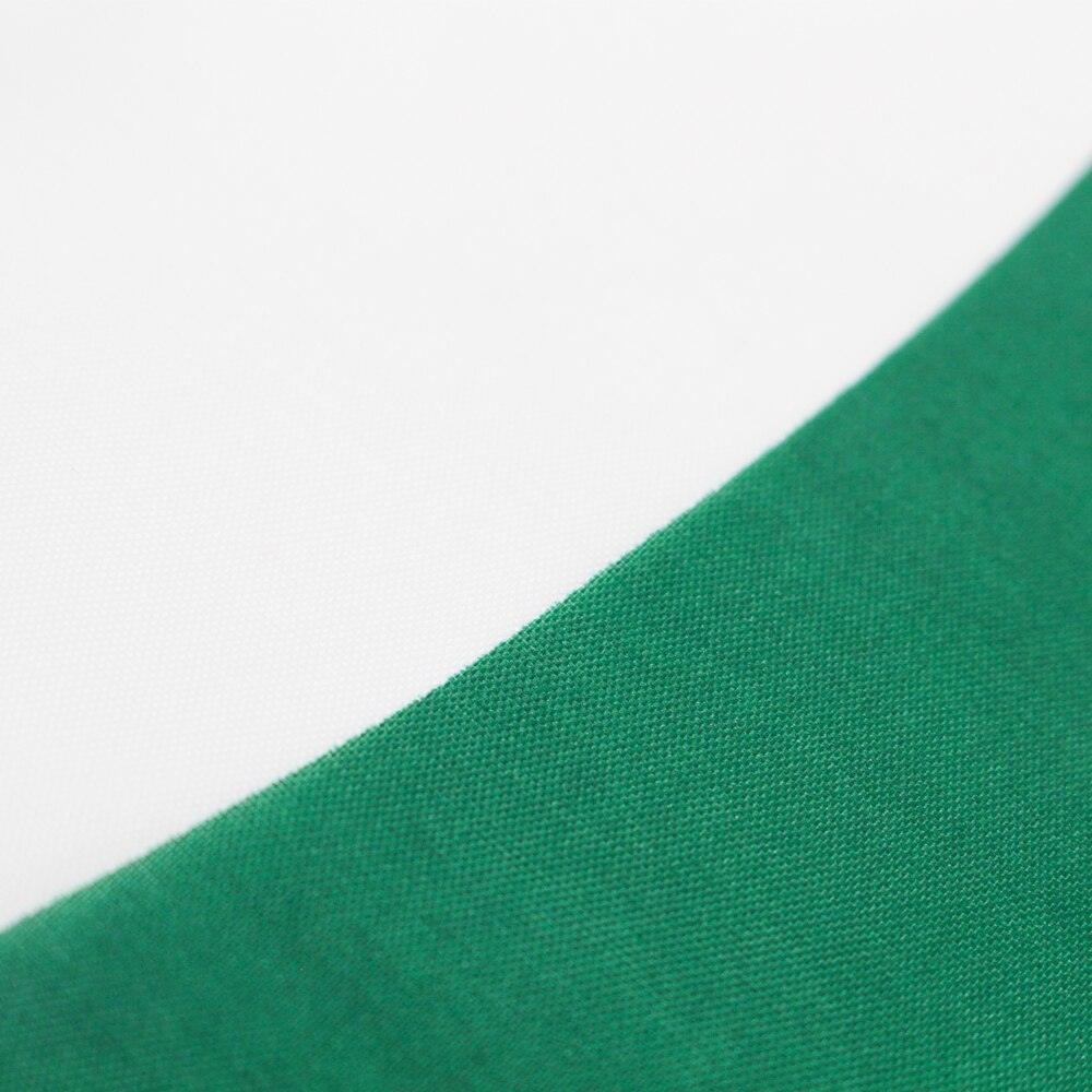 Pakistani National Flag – Show Your Patriotism with Flag-Globe Flags