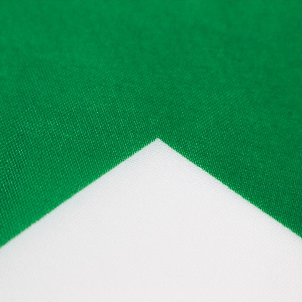 Syrian Flag-Globe Flags