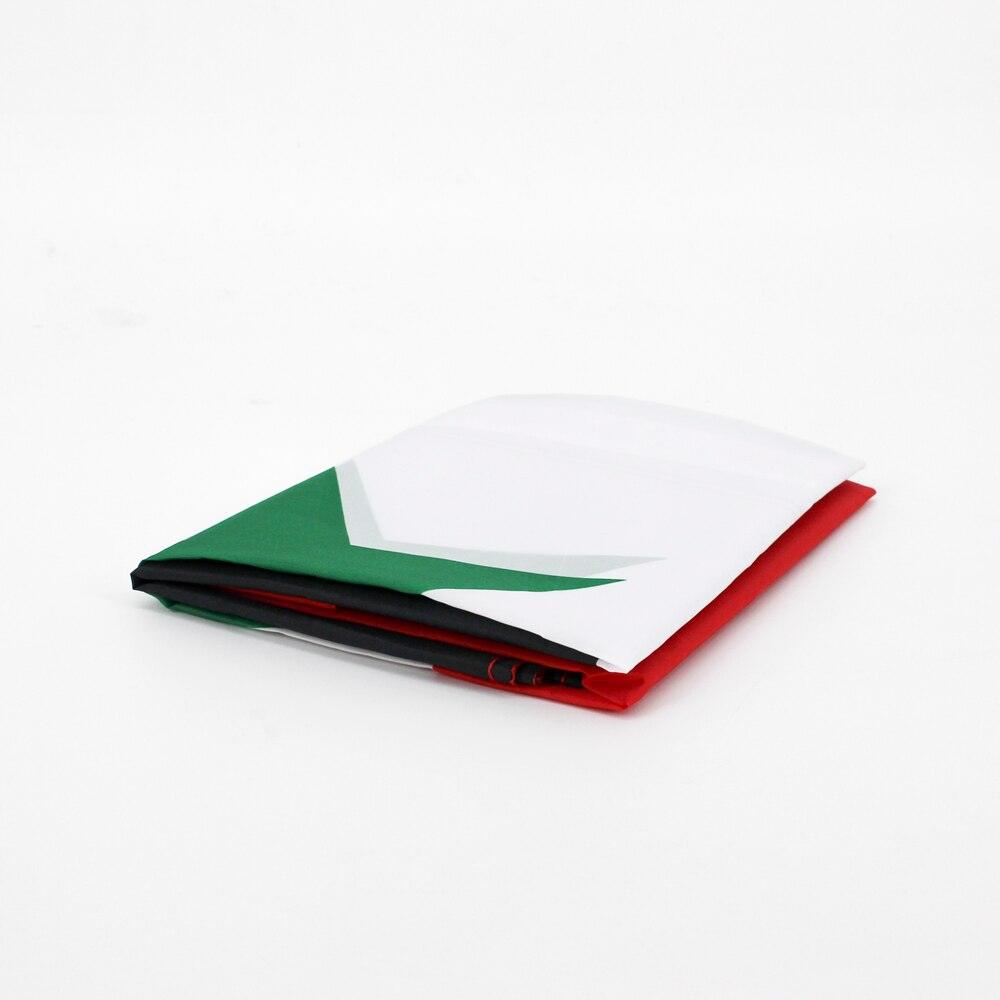 Syrian Flag-Globe Flags