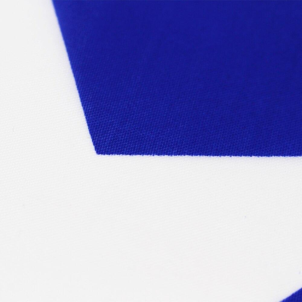 Bosnia  Herzegovina Flag-Globe Flags