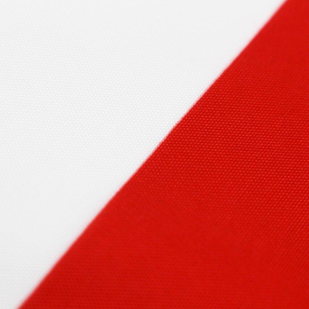 Chilean Flag A Timeless Symbol of Freedom Honor And National Identity-Globe Flags