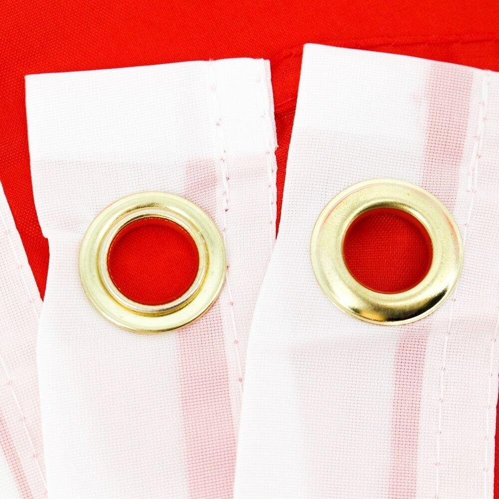 Denmark National Polyester Flag-Globe Flags