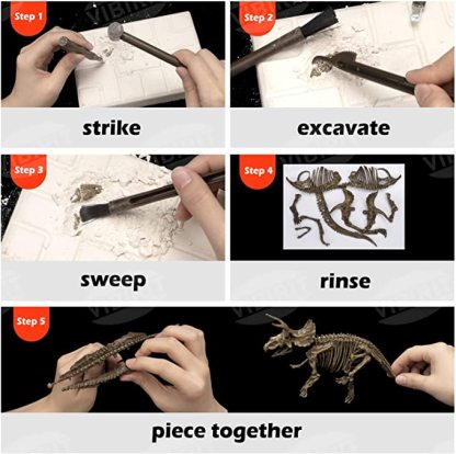 Dinosaur Digging Fossil Kit | Educational Toy For Kids | Dig Up Dinosaurs Skeleton Set - Octopus Mood Toy