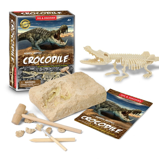 Dinosaur Digging Fossil Kit | Educational Toy For Kids | Dig Up Dinosaurs Skeleton Set - Octopus Mood Toy