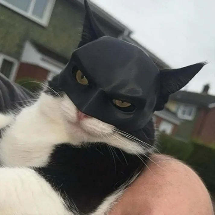 Batcat Design Mask For Cat - Octopus Mood Toy