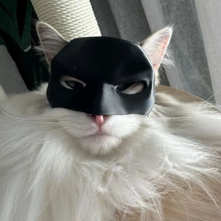 Batcat Design Mask For Cat - Octopus Mood Toy