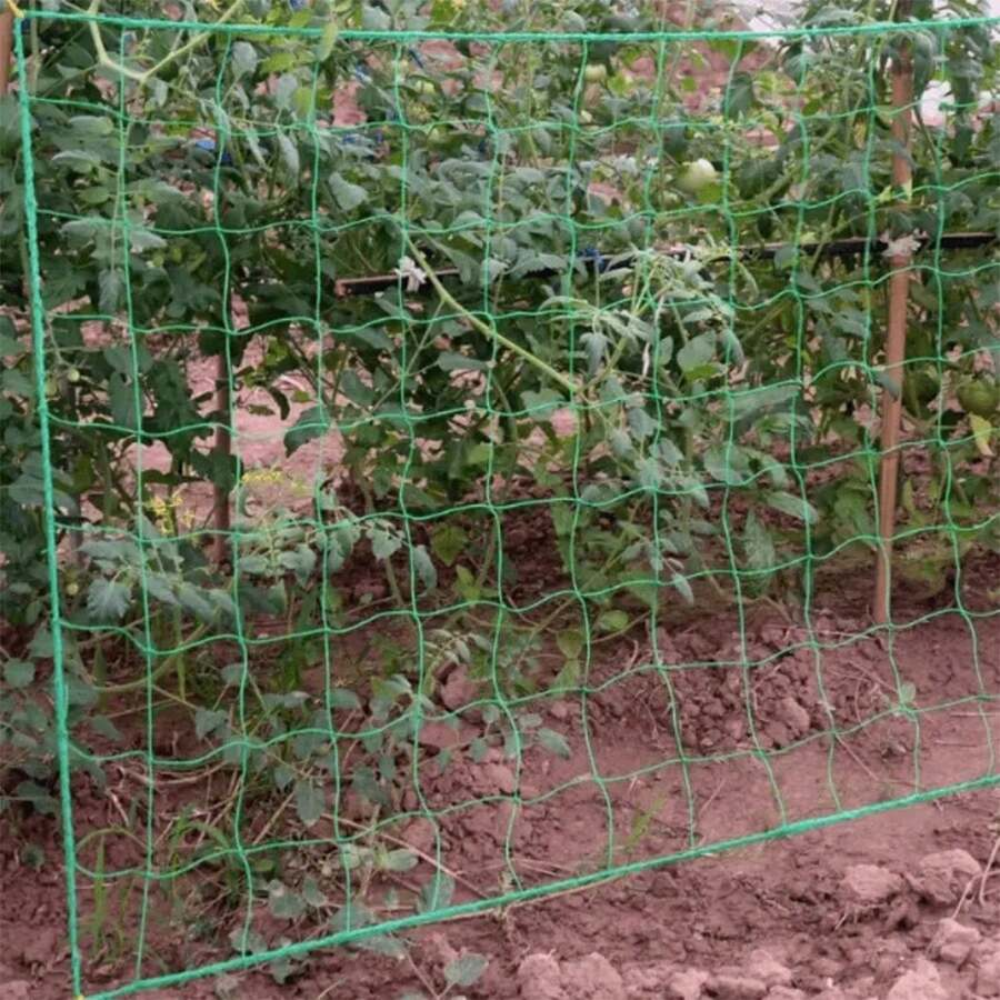 Square Grid Plant Climbing Net For Cucumber Growing In Garden