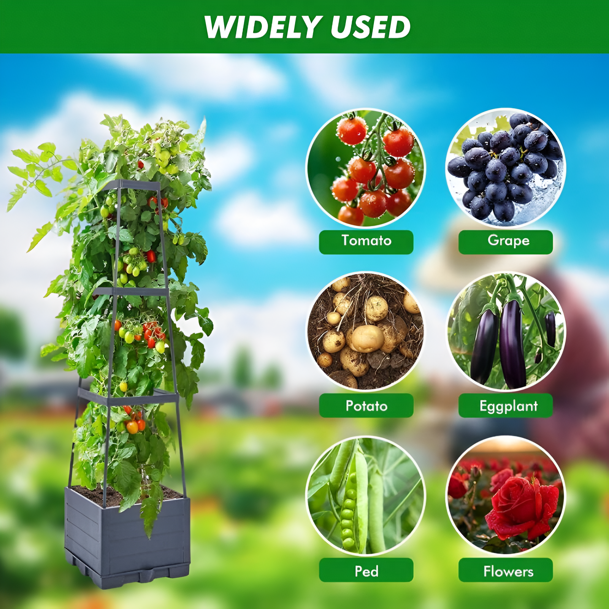 Vertical Garden Planter with Trellis