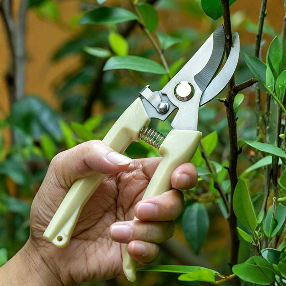 Minimalist Stainless Steel Gardening Pruning Shears For Plant Branches