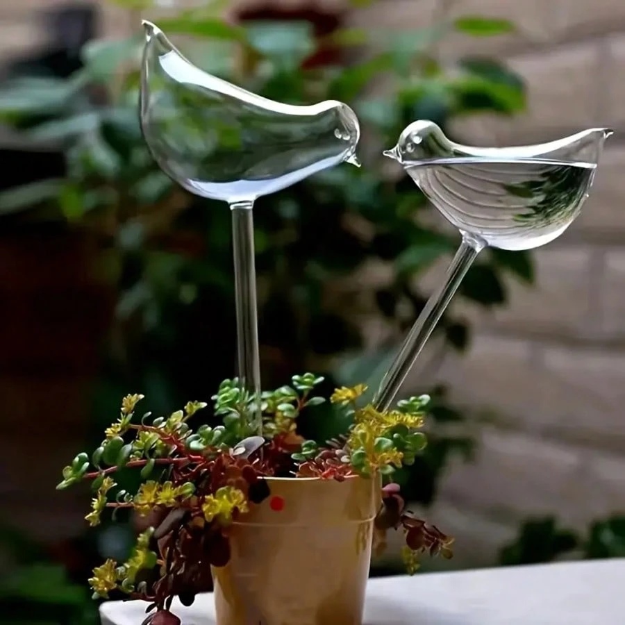 Bird Shaped Self Watering Globes For Potted Plants And Gardens