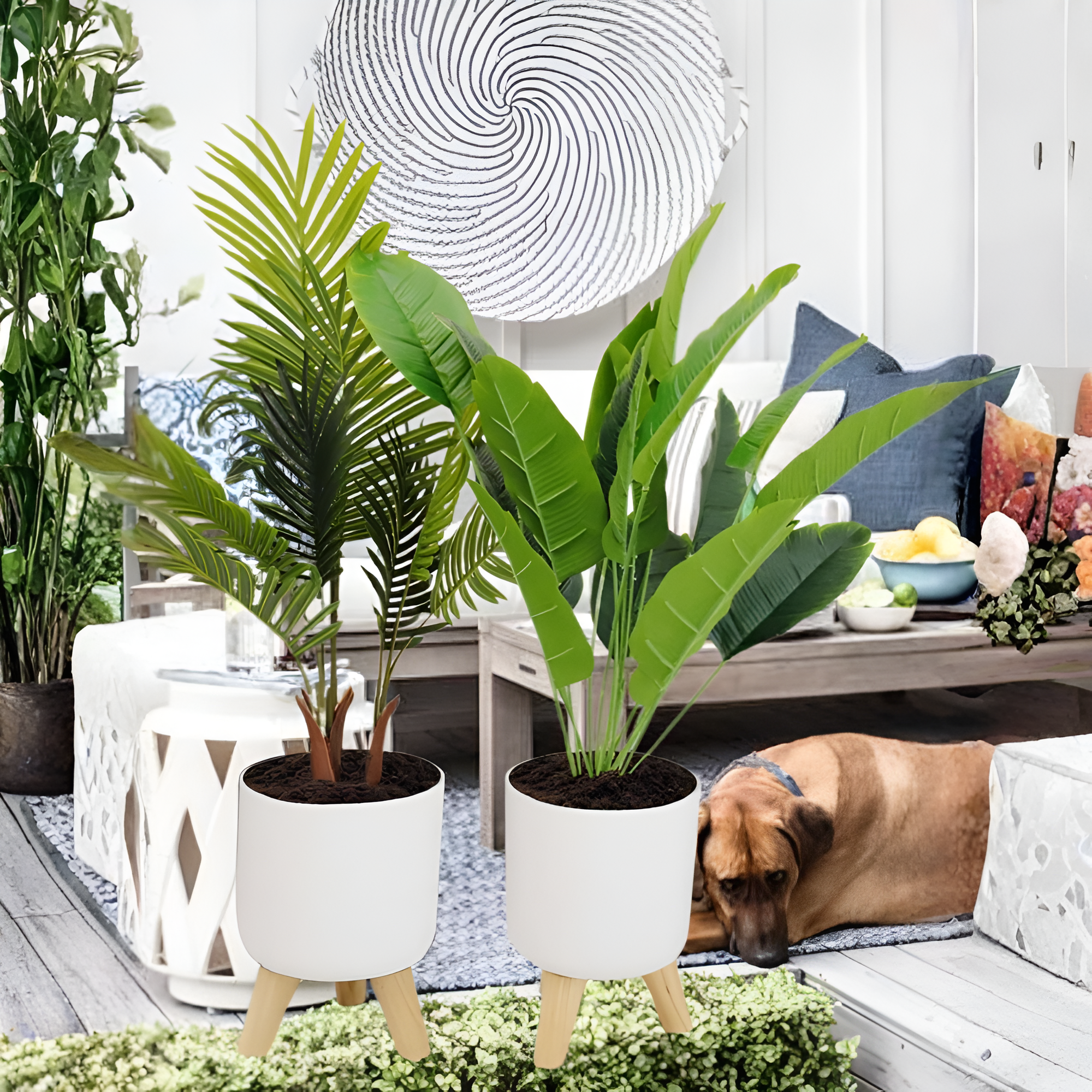 1pc Classic Round Self Watering Planter Plant Pot