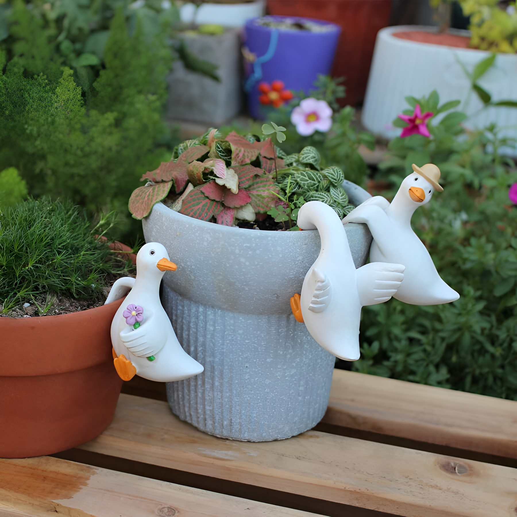 Cute Climbing Duck Flower Pot Pendant 3 Pieces Set
