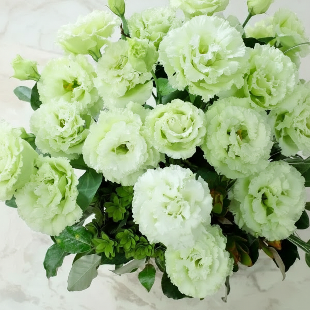 Lisianthus Grandiflorum SeedsEustoma Lisianthus Flower Seeds For Garden Blooms - Image 2