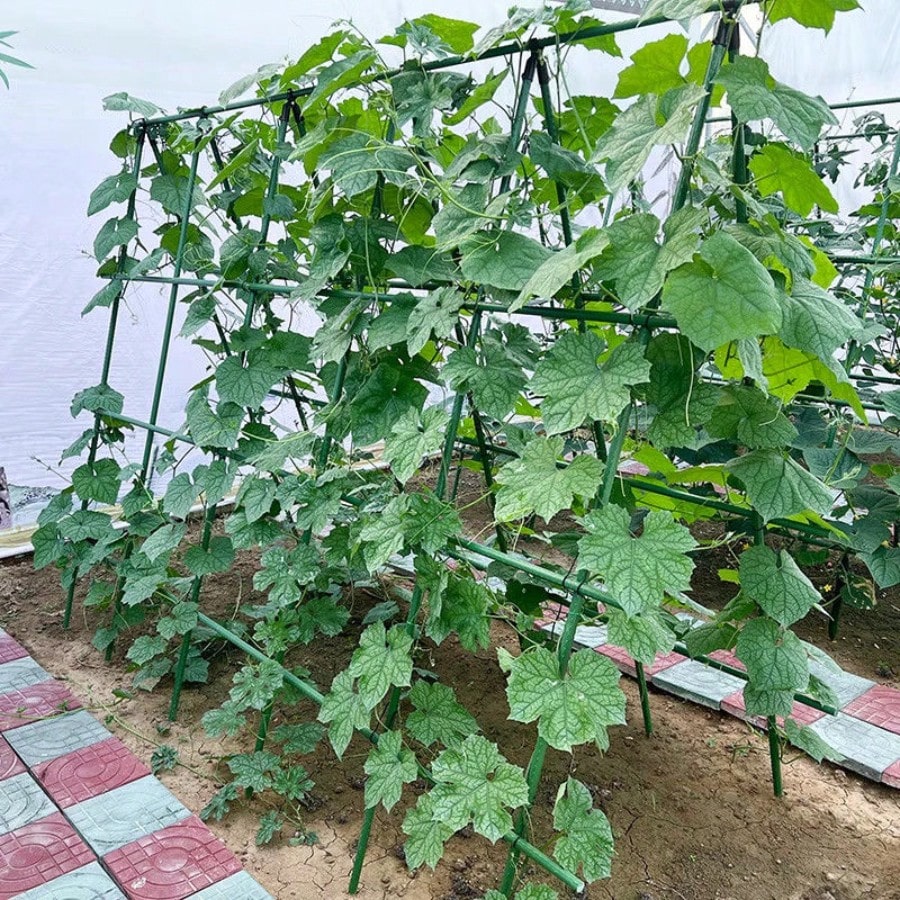 Multifunctional Gardening Plastic Support Stakes