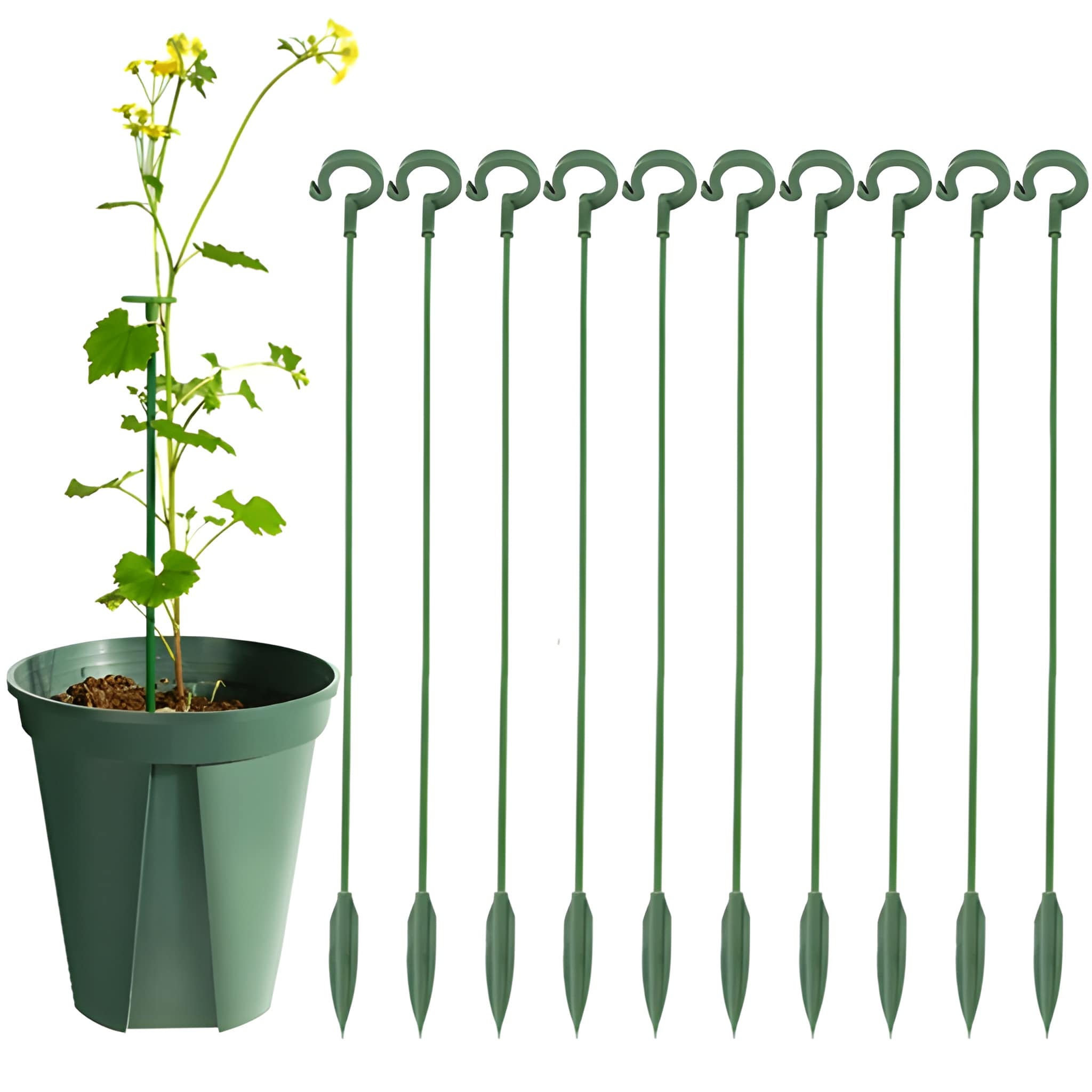 Plant Garden Trellis Climbing Frame