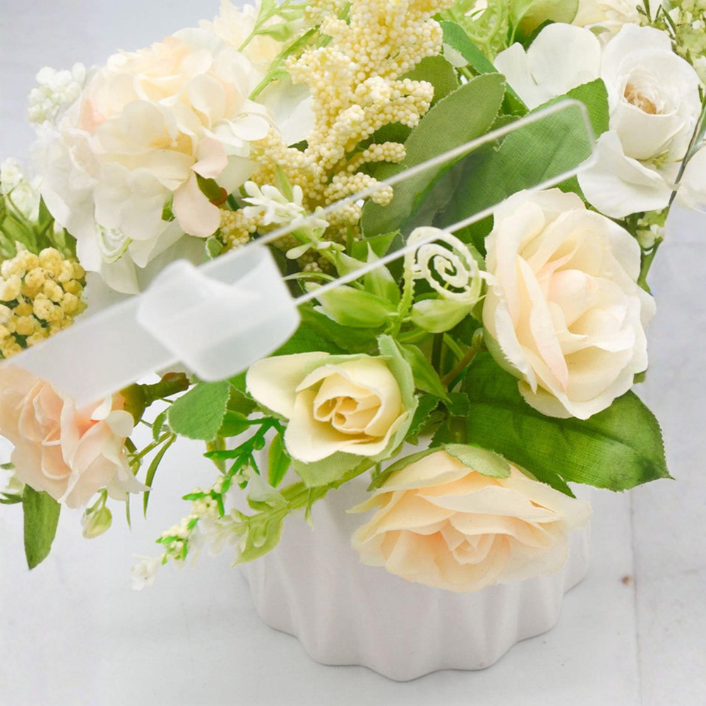 Clear Pmma Plant Labels For Garden And Use 12 Pieces