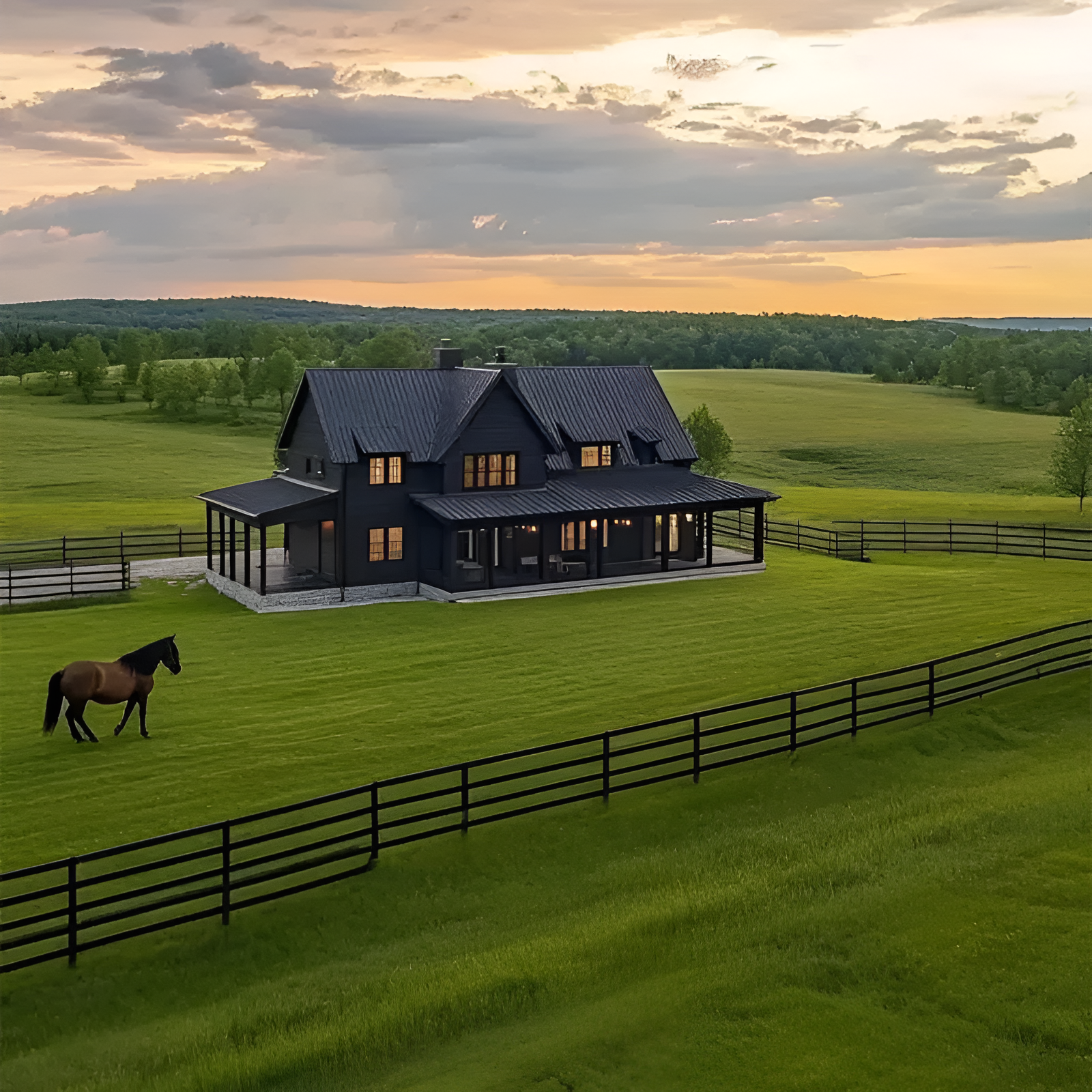 Evergreen Dwarf Grass Seeds For Dense Garden