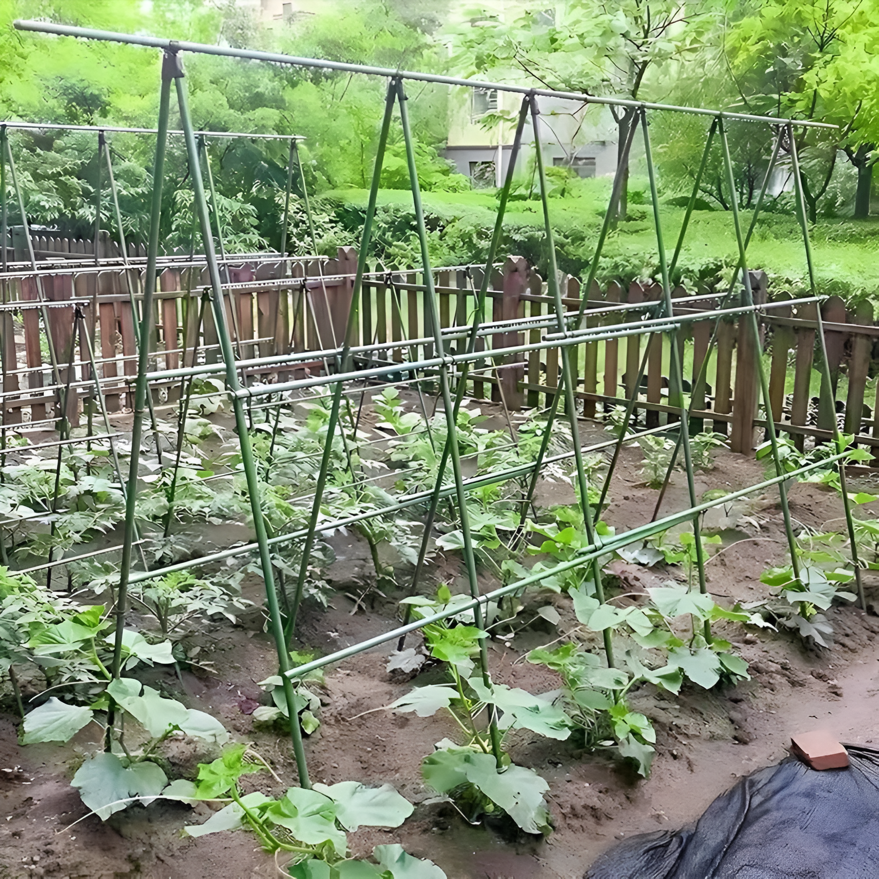 Sturdy Metal Climbing Plant Garden Trellis - Suitable For Various Plants, Cucumbers, Beans And Tomatoes - Plant