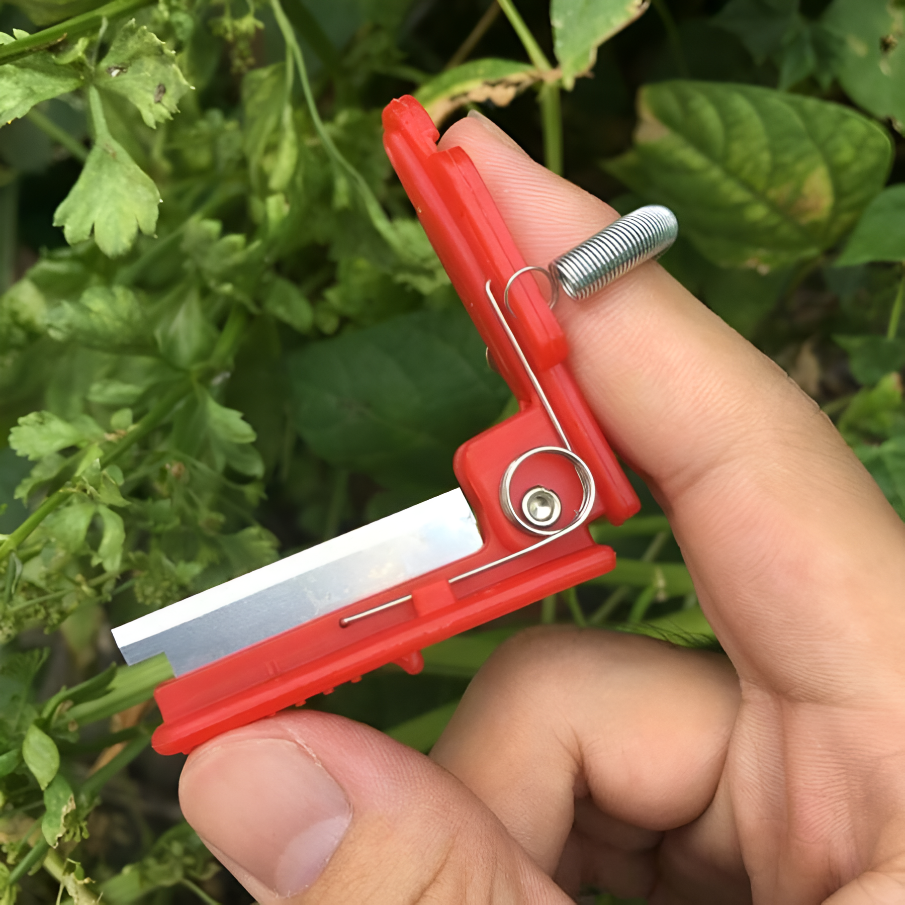 Stainless Steel Ring Knife For Picking Vegetable Harvesting