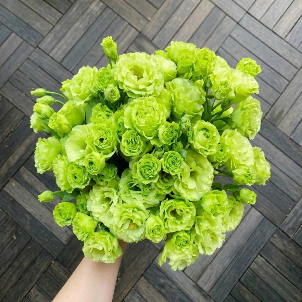 Lisianthus Flower Seeds For Garden Blooming Plants