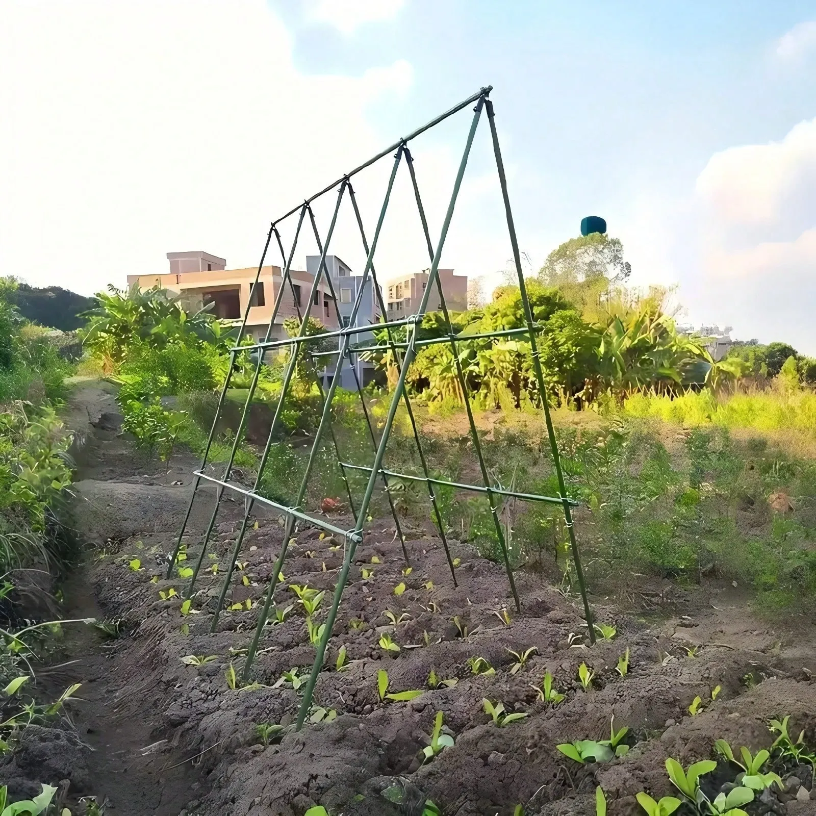 Sturdy Freely Combinable Garden Plant Support Set For Greenhouse Outdoor Gardening